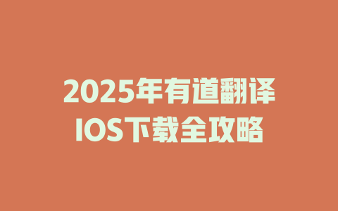 2025年有道翻译IOS下载全攻略 二
