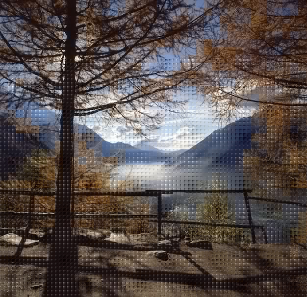 有道翻译下载评测：体验2025年最新版功能，三步轻松安装 一