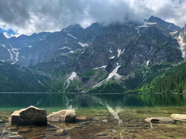 有道翻译下载体验：轻松安装教程详解2025年 一