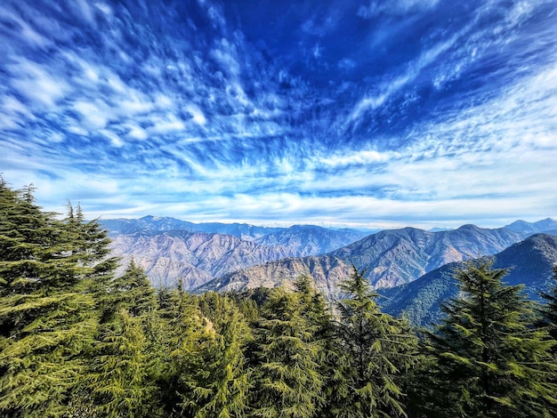 有道翻译下载安装错误？解决攻略揭密！ 一