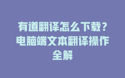 有道翻译怎么下载？电脑端文本翻译操作全解 二