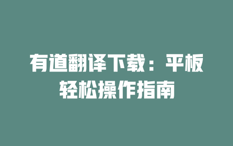有道翻译下载：平板轻松操作指南 二