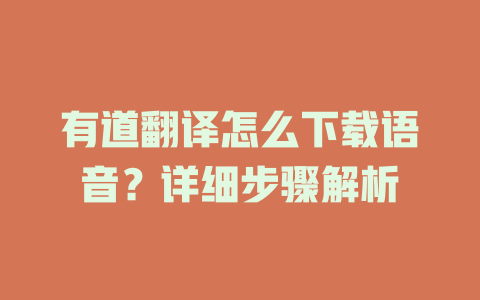 有道翻译怎么下载语音？详细步骤解析 二