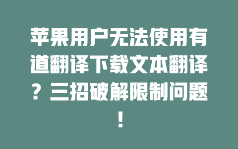 苹果用户无法使用有道翻译下载文本翻译？三招破解限制问题！ 二