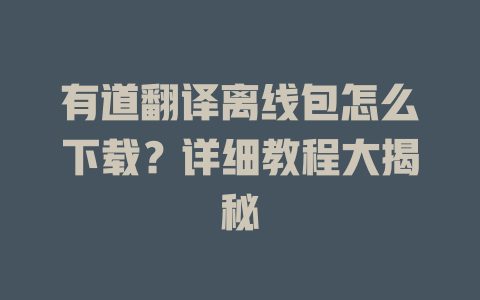 有道翻译离线包怎么下载？详细教程大揭秘 二