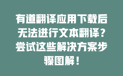 有道翻译应用下载后无法进行文本翻译？尝试这些解决方案步骤图解！ 二