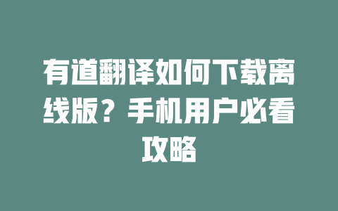 有道翻译如何下载离线版？手机用户必看攻略 二