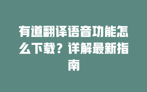 有道翻译语音功能怎么下载？详解最新指南 二