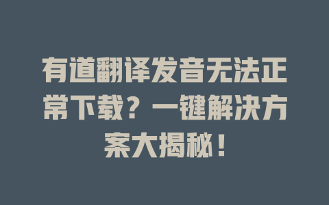 有道翻译发音无法正常下载？一键解决方案大揭秘！ 二