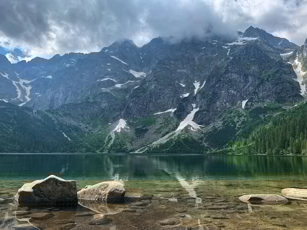 苹果用户如何下载有道翻译？最新版安装教程+使用全攻略 一