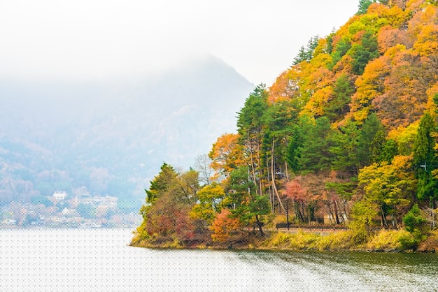 平板端有道翻译下载安装与拍照翻译实用指南图解 一