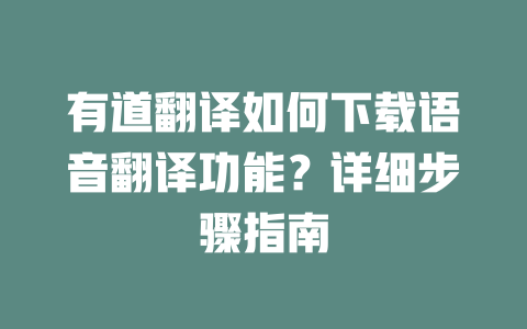 有道翻译如何下载语音翻译功能？详细步骤指南 二