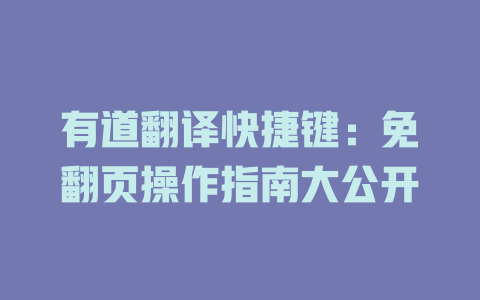 有道翻译快捷键：免翻页操作指南大公开 二