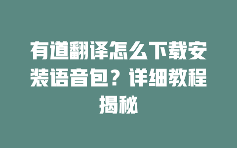 有道翻译怎么下载安装语音包？详细教程揭秘 二