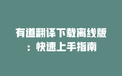 有道翻译下载离线版：快速上手指南 二
